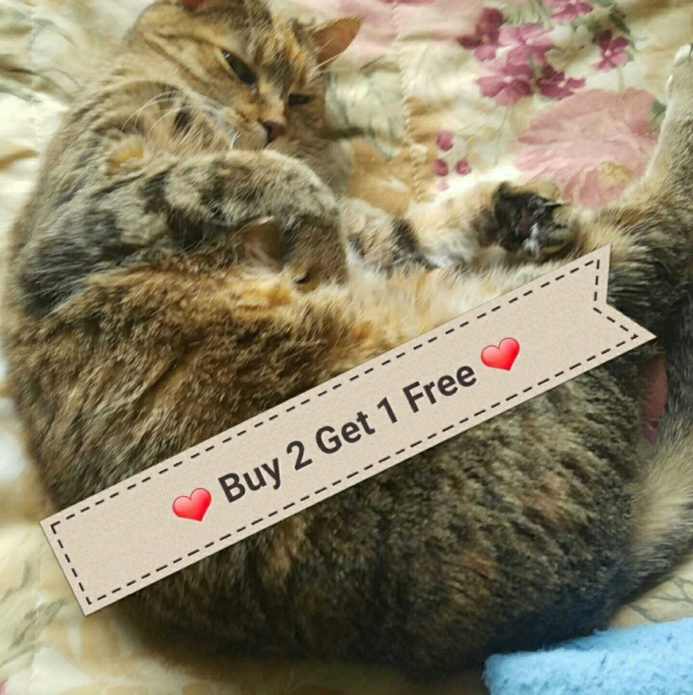 Buy 2 get 1 free entire shop!